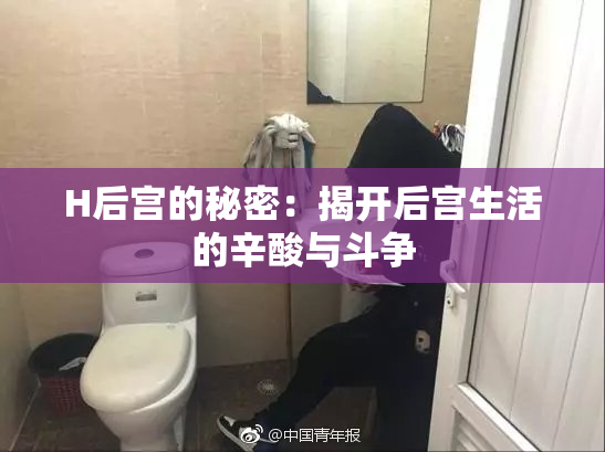 H后宫的秘密：揭开后宫生活的辛酸与斗争