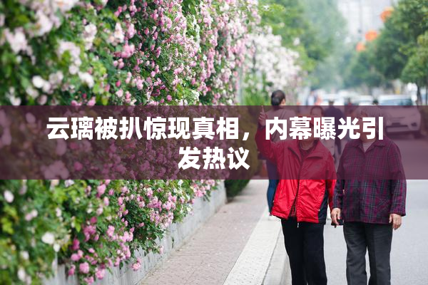 云璃被扒惊现真相，内幕曝光引发热议