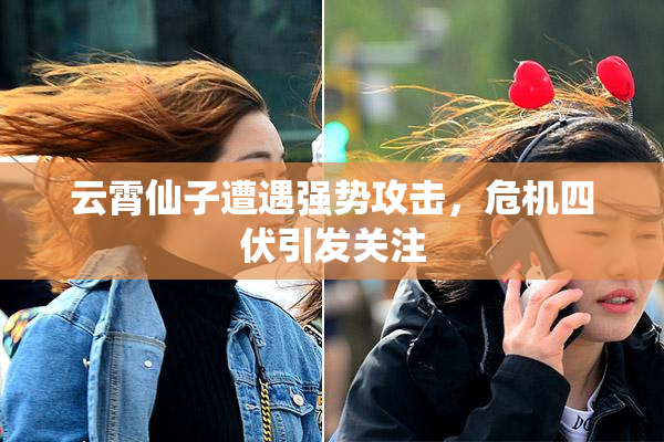 云霄仙子遭遇强势攻击，危机四伏引发关注