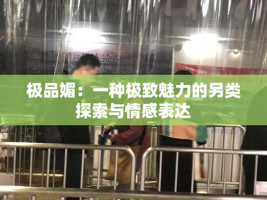 极品媚：一种极致魅力的另类探索与情感表达