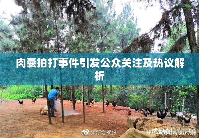肉囊拍打事件引发公众关注及热议解析