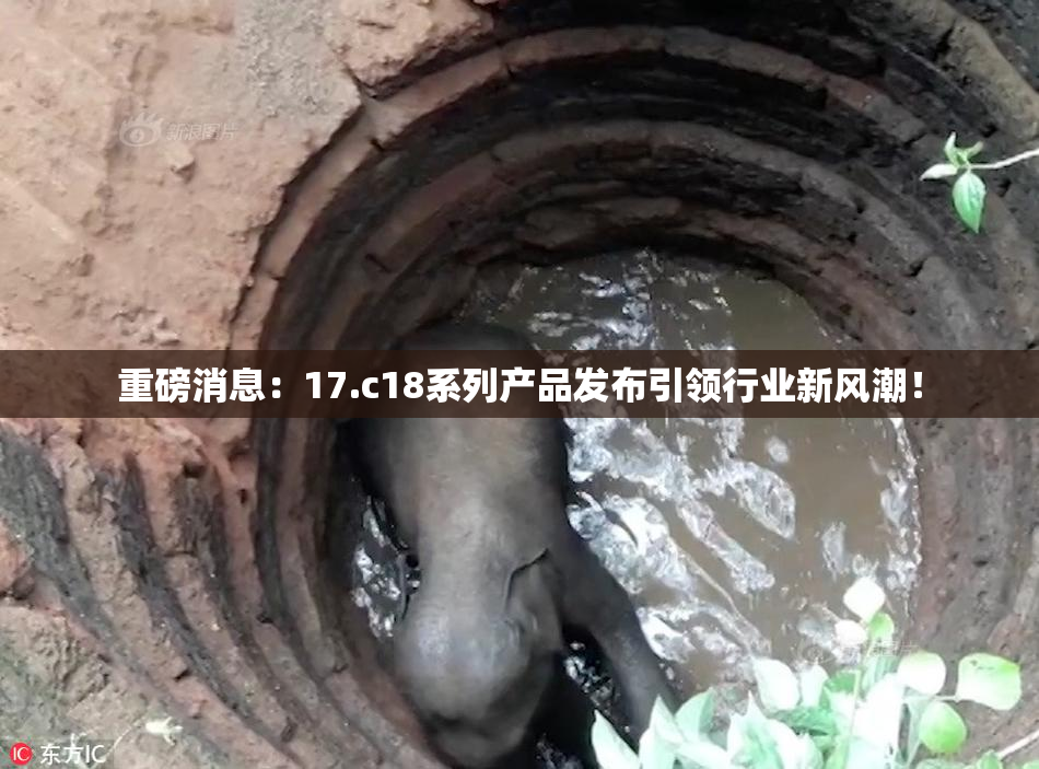 重磅消息：17.c18系列产品发布引领行业新风潮！
