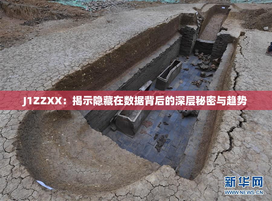 J1ZZXX：揭示隐藏在数据背后的深层秘密与趋势