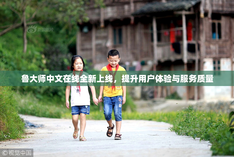 鲁大师中文在线全新上线，提升用户体验与服务质量