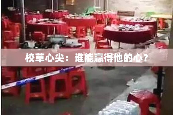 校草心尖：谁能赢得他的心？