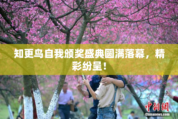 知更鸟自我颁奖盛典圆满落幕，精彩纷呈！