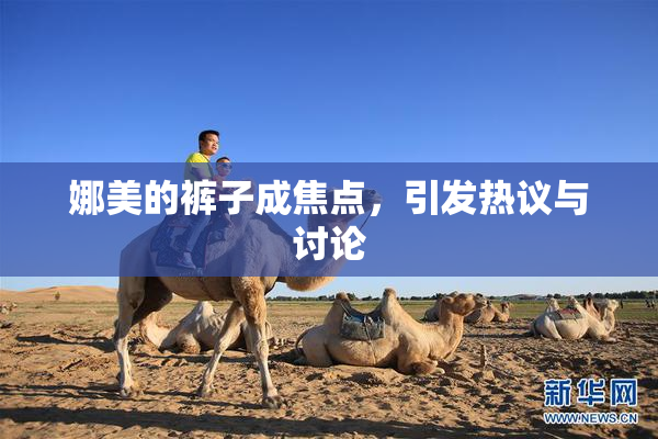 娜美的裤子成焦点，引发热议与讨论