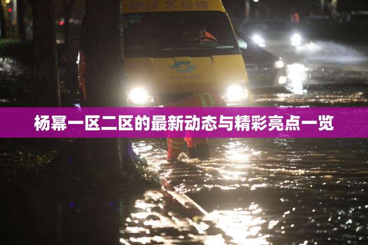杨幂一区二区的最新动态与精彩亮点一览