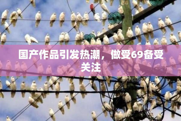 国产作品引发热潮，做受69备受关注