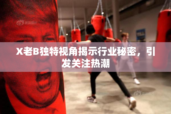 X老B独特视角揭示行业秘密，引发关注热潮