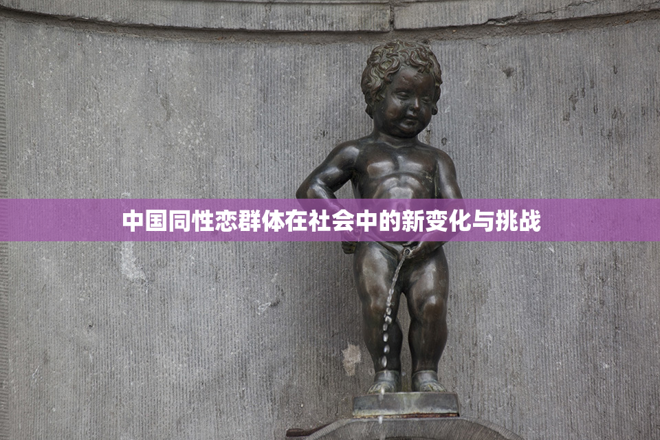 中国同性恋群体在社会中的新变化与挑战