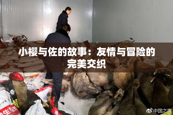 小樱与佐的故事：友情与冒险的完美交织
