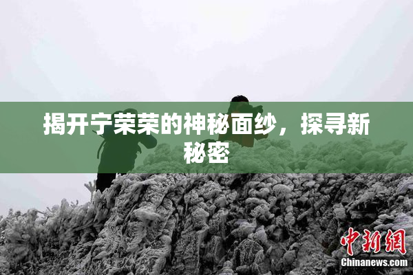 揭开宁荣荣的神秘面纱，探寻新秘密