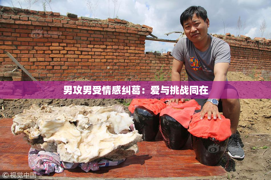 男攻男受情感纠葛：爱与挑战同在