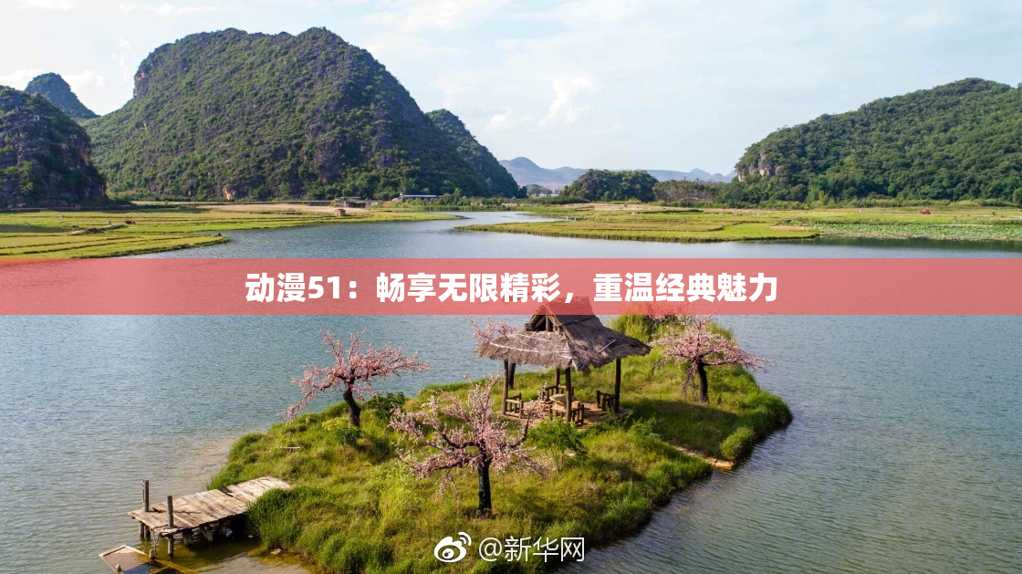 动漫51：畅享无限精彩，重温经典魅力