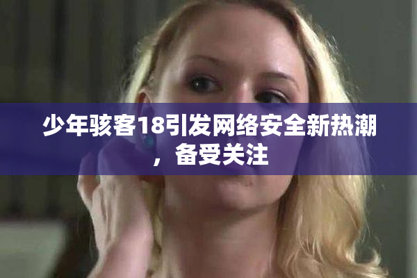 少年骇客18引发网络安全新热潮，备受关注