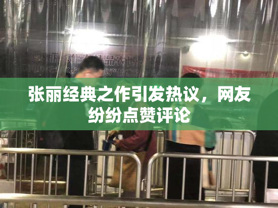 张丽经典之作引发热议，网友纷纷点赞评论