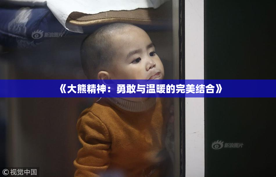 《大熊精神：勇敢与温暖的完美结合》