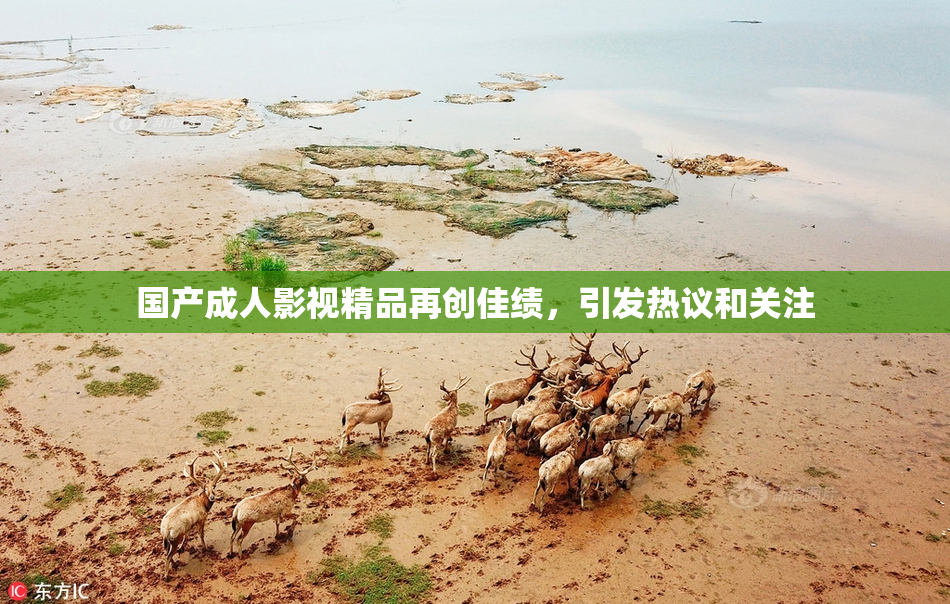国产成人影视精品再创佳绩，引发热议和关注