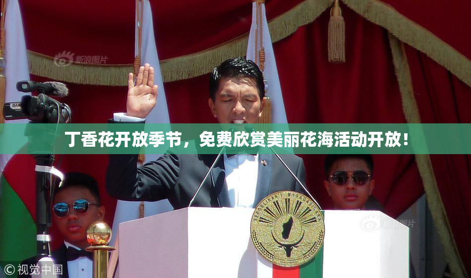 丁香花开放季节，免费欣赏美丽花海活动开放！