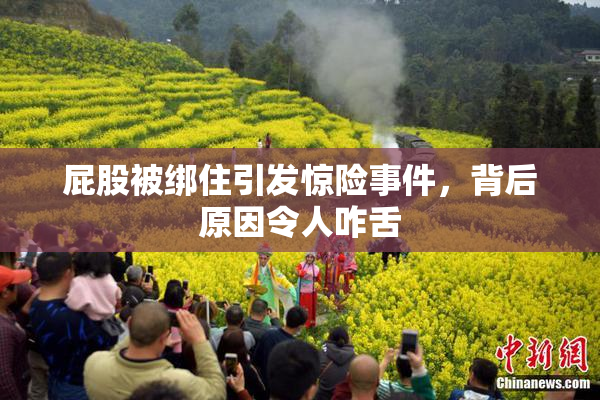 屁股被绑住引发惊险事件，背后原因令人咋舌