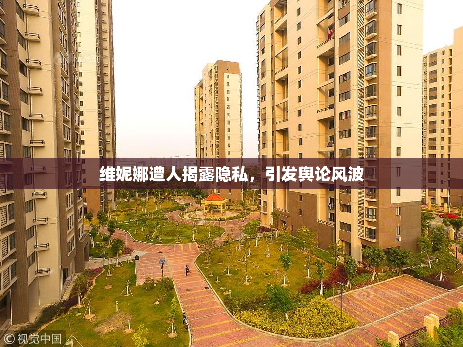 维妮娜遭人揭露隐私，引发舆论风波
