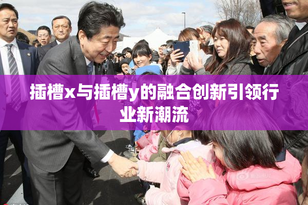 插槽x与插槽y的融合创新引领行业新潮流