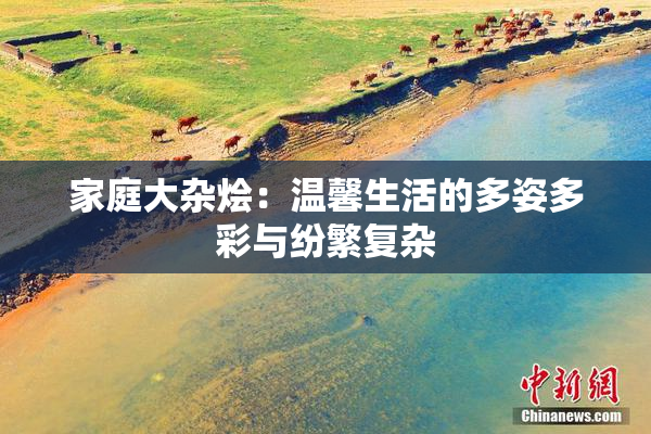 家庭大杂烩：温馨生活的多姿多彩与纷繁复杂