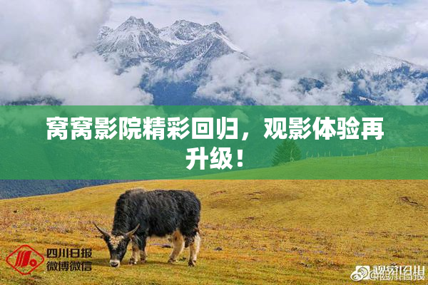 窝窝影院精彩回归，观影体验再升级！
