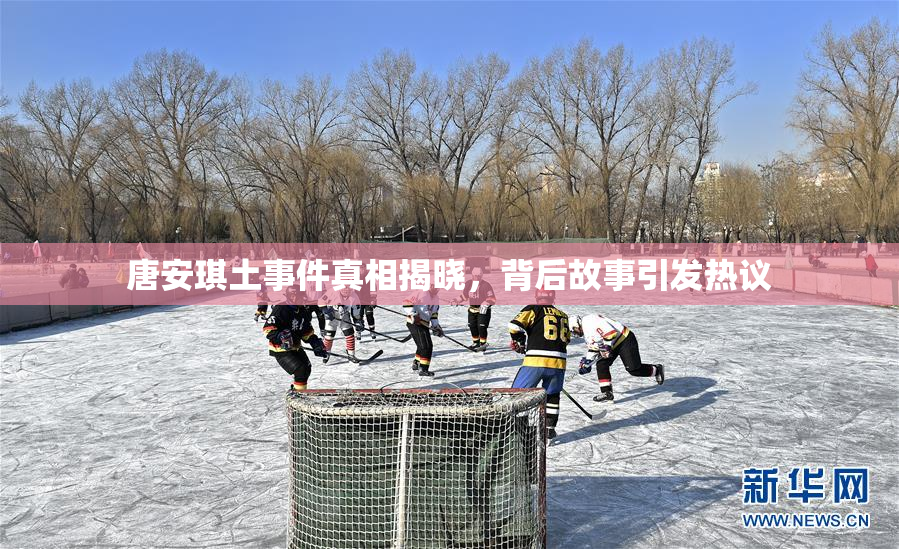 唐安琪土事件真相揭晓，背后故事引发热议