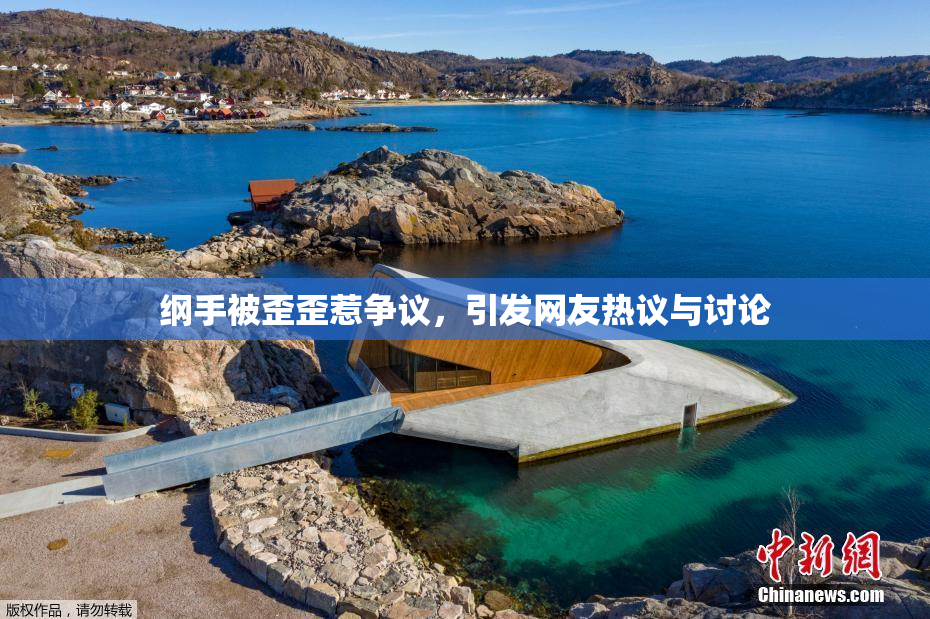 纲手被歪歪惹争议，引发网友热议与讨论