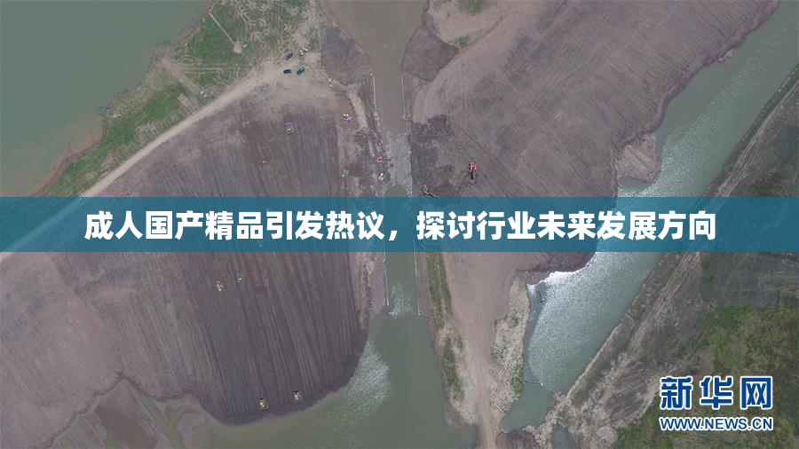 成人国产精品引发热议，探讨行业未来发展方向