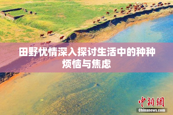 田野忧情深入探讨生活中的种种烦恼与焦虑