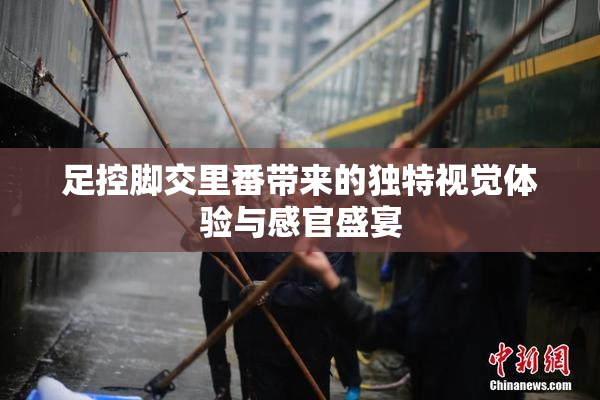 足控脚交里番带来的独特视觉体验与感官盛宴
