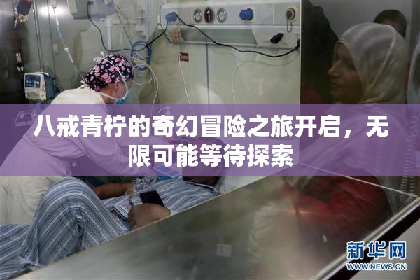 八戒青柠的奇幻冒险之旅开启，无限可能等待探索
