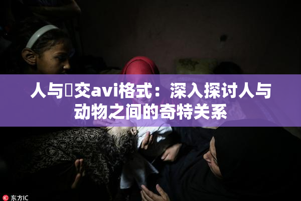 人与嘼交avi格式：深入探讨人与动物之间的奇特关系