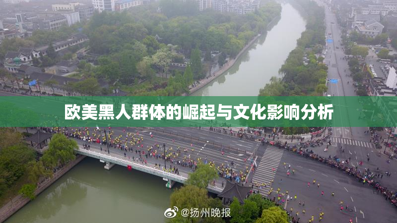 欧美黑人群体的崛起与文化影响分析
