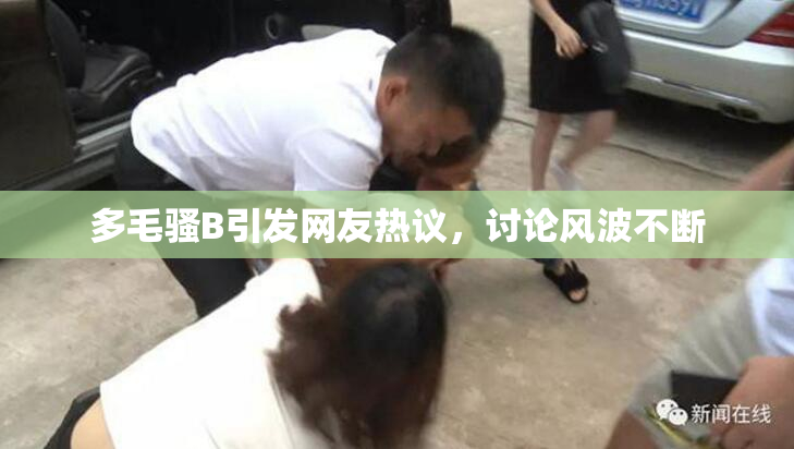 多毛骚B引发网友热议，讨论风波不断