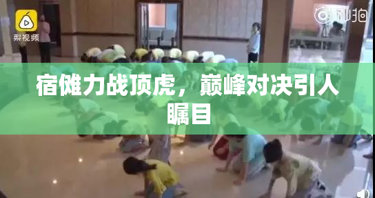 宿傩力战顶虎，巅峰对决引人瞩目