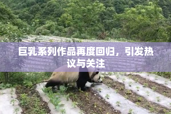 巨乳系列作品再度回归，引发热议与关注