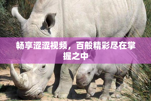 畅享涩涩视频，百般精彩尽在掌握之中