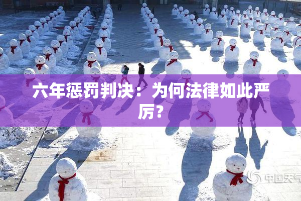 六年惩罚判决：为何法律如此严厉？