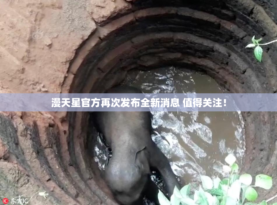 漫天星官方再次发布全新消息 值得关注！