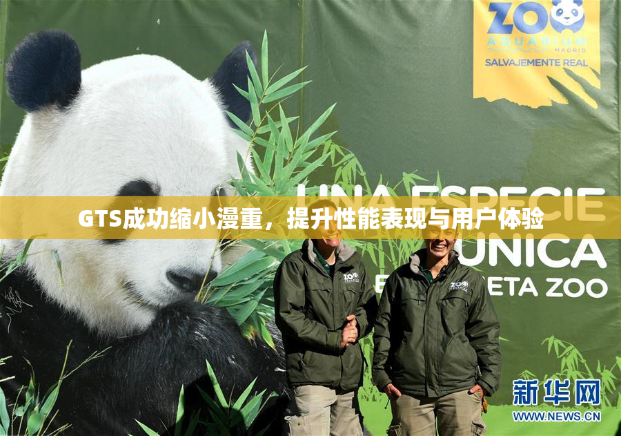 GTS成功缩小漫重，提升性能表现与用户体验