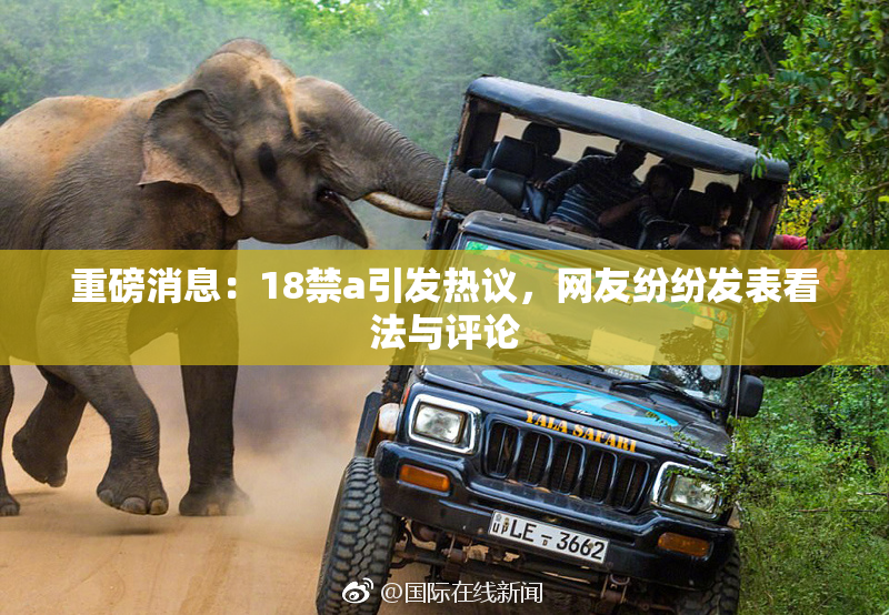 重磅消息：18禁a引发热议，网友纷纷发表看法与评论