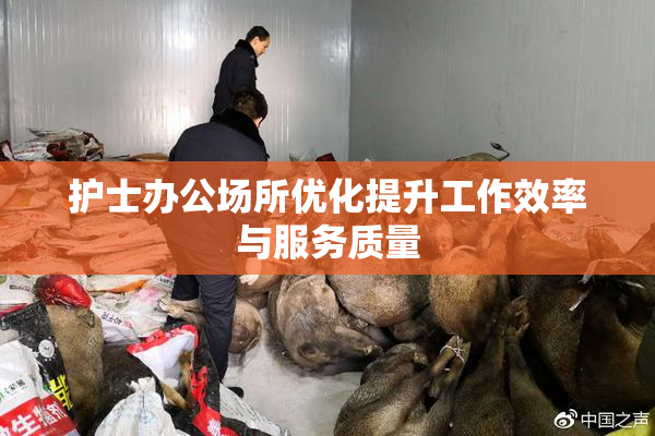 护士办公场所优化提升工作效率与服务质量