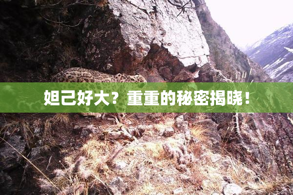 妲己好大？重重的秘密揭晓！