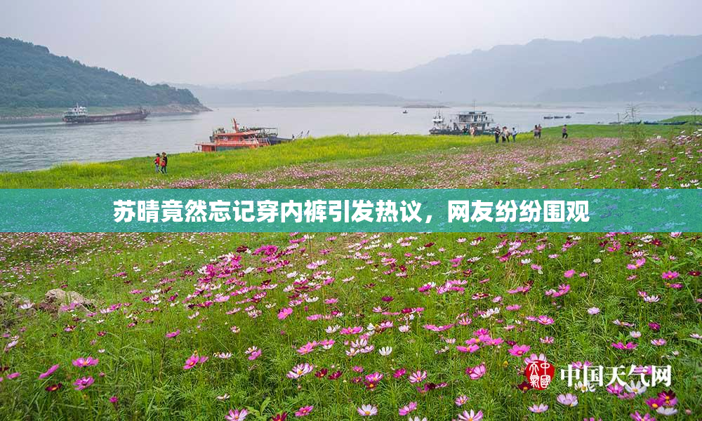 苏晴竟然忘记穿内裤引发热议，网友纷纷围观