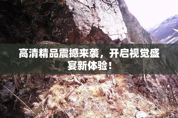 高清精品震撼来袭，开启视觉盛宴新体验！