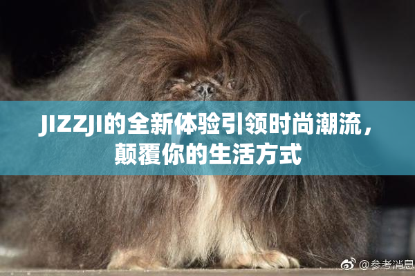 JIZZJI的全新体验引领时尚潮流，颠覆你的生活方式